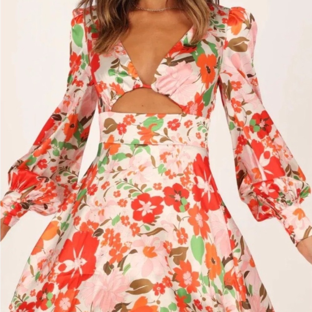 Petal & Pup Floral Mini Dress - Red, Green, Pink